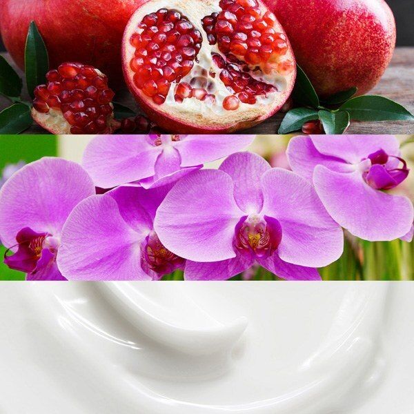 Calvin Klein Euphoria Eau de Parfum for Women 50ml