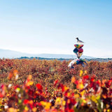 Campo Viejo Rioja Gran Reserva   75cl