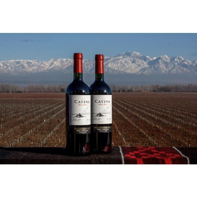 Catena Malbec 2019   75cl