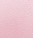 Fresh Rose Instant Hydration Mist 100ml - British product