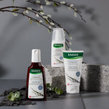 Rausch Treatment Conditioner with Willow Bark 150ml, imported from the UK