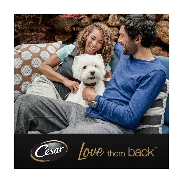 Cesar Country Stew Adult Wet Dog Food Trays Special Selection    8 x 150g