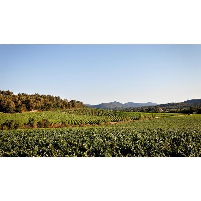 Chateau La Gordonne Organic Provence Rose   75cl