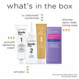 Clairol Blonde It Up Permanent Dye No Bleach Platinum Blonde