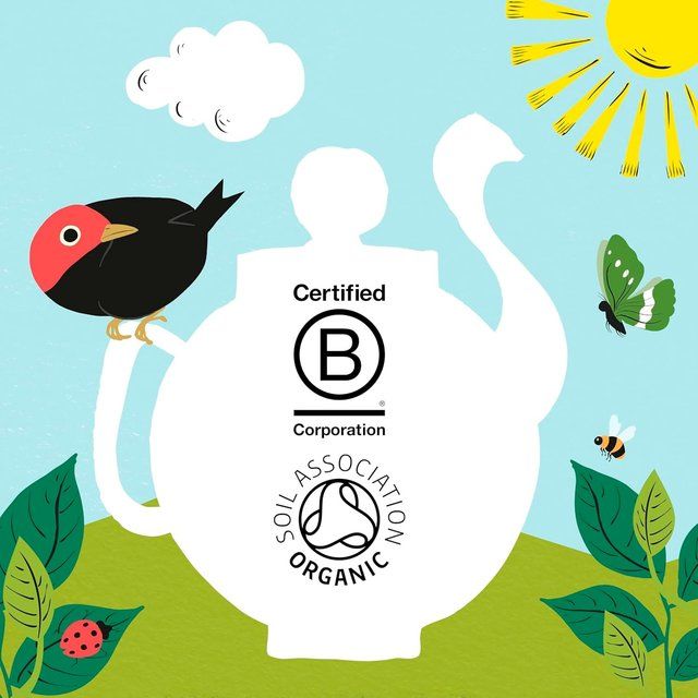 Clipper Organic Everyday 160 Tea bags   160 per pack