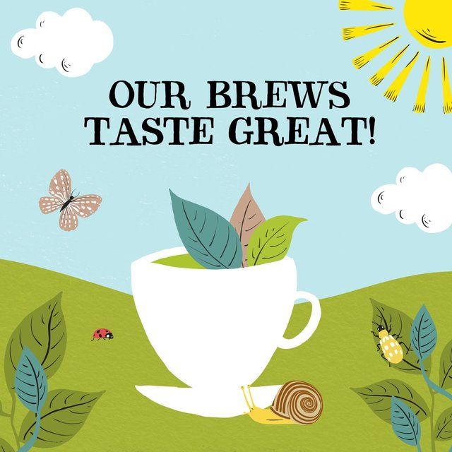 Clipper Organic &amp;amp; Fairtrade Decaffeinated Green Tea   40 per pack