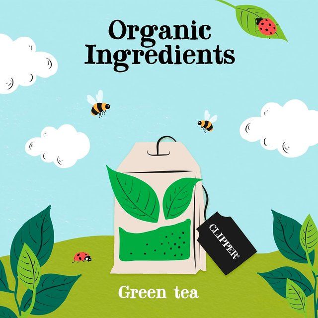 Clipper Organic Fairtrade Green Tea Bags   80 per pack