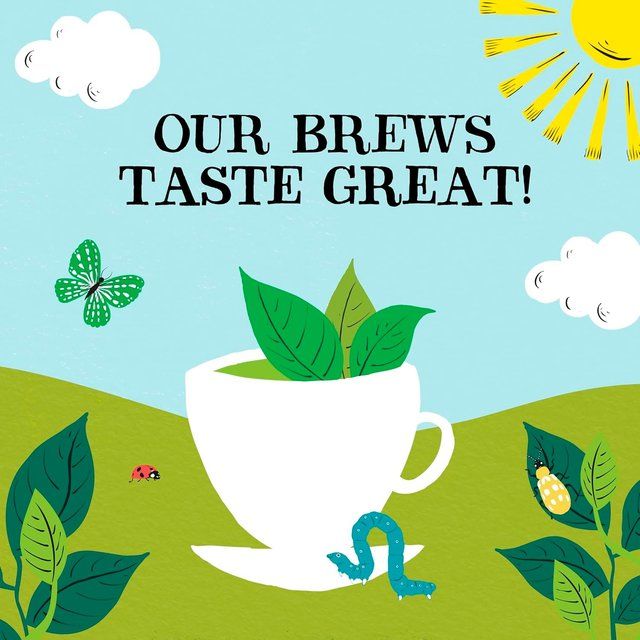 Clipper Organic Fairtrade Green Tea Bags   80 per pack