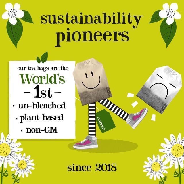 Clipper Organic Liquorice Teabags   20 per pack