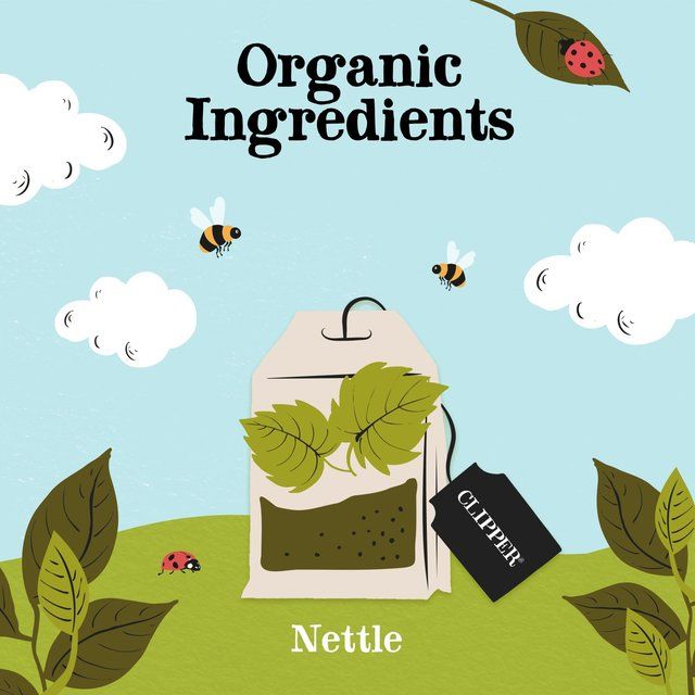 Clipper Organic Nettle Teabags   20 per pack