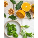 Clothes Doctor Basil &amp;amp; Mandarin Leaf Eco Fabric Conditioner   1L