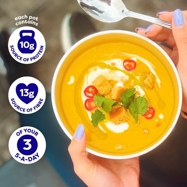 BOL Butternut Squash & Chilli Power Soup   600g - McGrocer