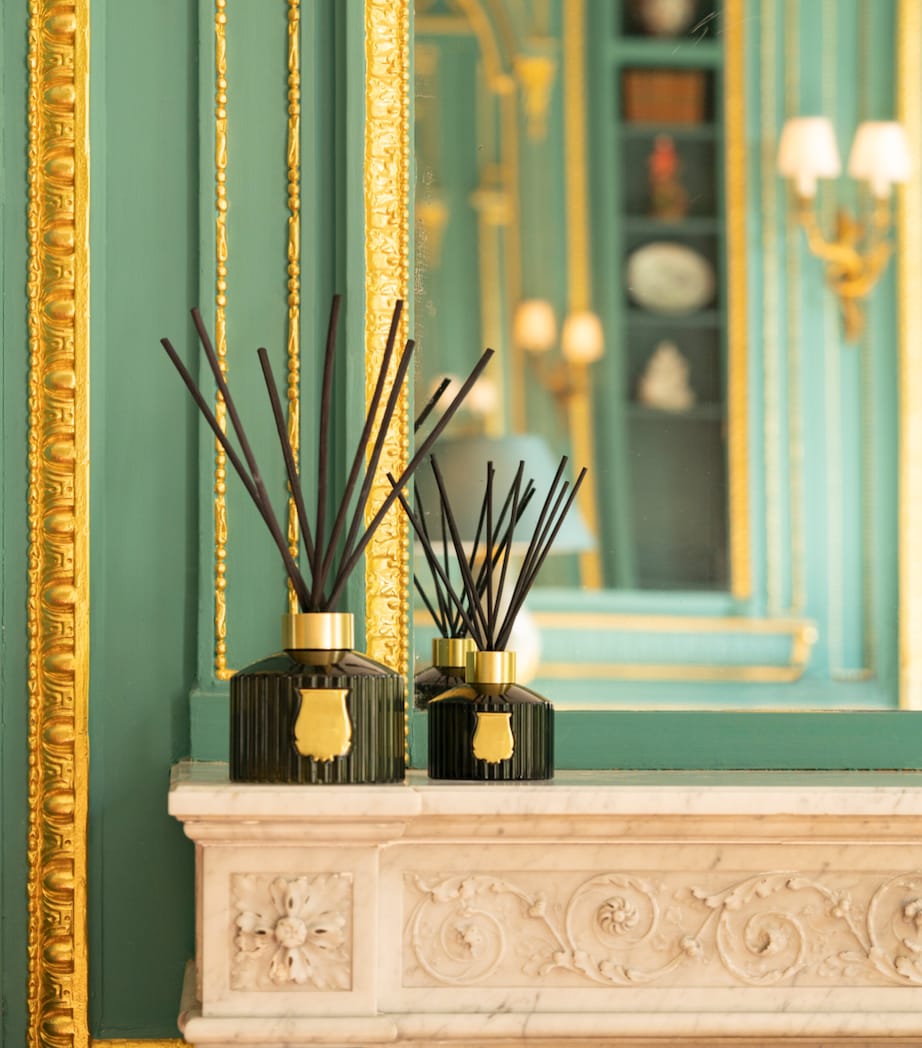 Trudon Gabriel reed diffuser 350ml (British brand)