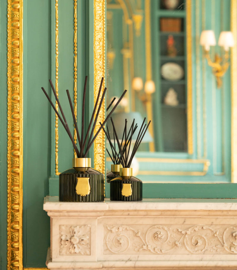 Trudon Gabriel reed diffuser 350ml (British brand)