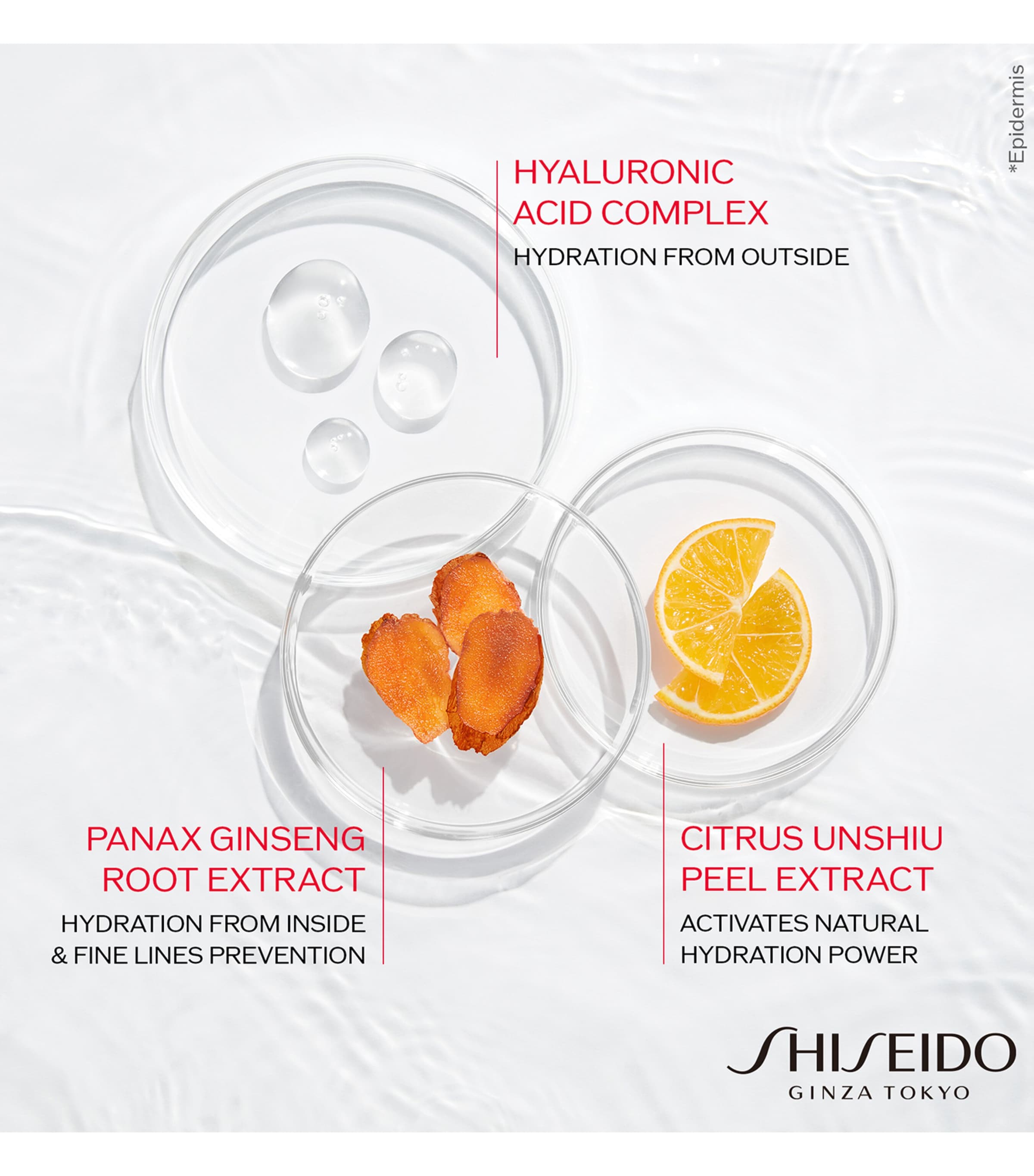 Shiseido hydrating day cream refill 50ml (British brand)