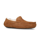 UGG Suede Ascot slippers (British brand)