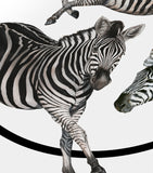 Dolce&Gabbana Casa silk-wool zebra throw 140cm x 180cm - British product