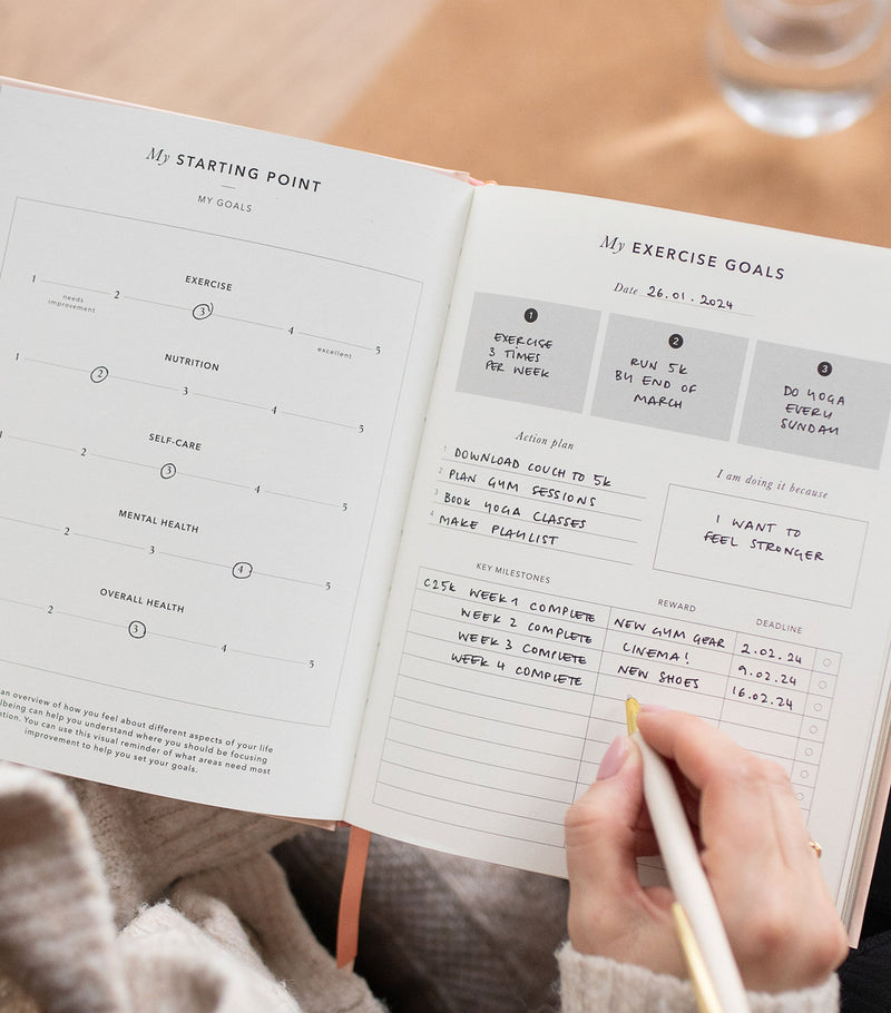 Blush and Gold Daily Fitness & Meal Planner