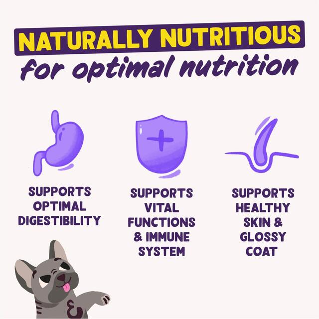 Edgard & Cooper Adult Grain Free Wet Dog Food with Beef   400g - McGrocer