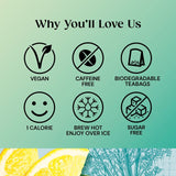 Twinings Superblends Detox with Lemon Ginger & Fennel   20 per pack - McGrocer