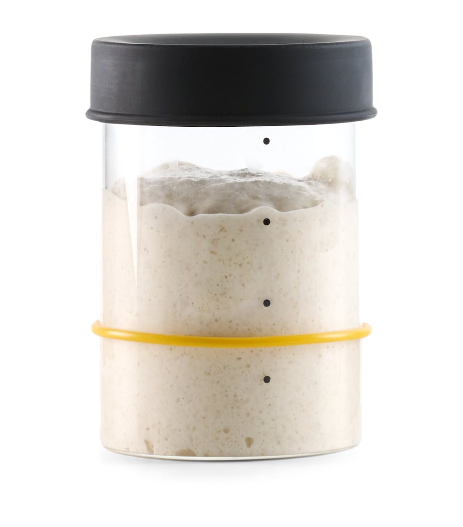 Sourhouse Glass Sourdough Starter Jar 500ml (British brand)