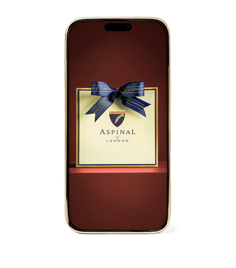 Aspinal of London leather iPhone 16 Pro Max case - British product