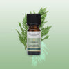 Tisserand Cypress Wild Crafted Pure Essential Oil 9ml (British brand)
