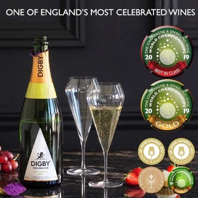 Digby Fine English 2013 Vintage Brut   75cl