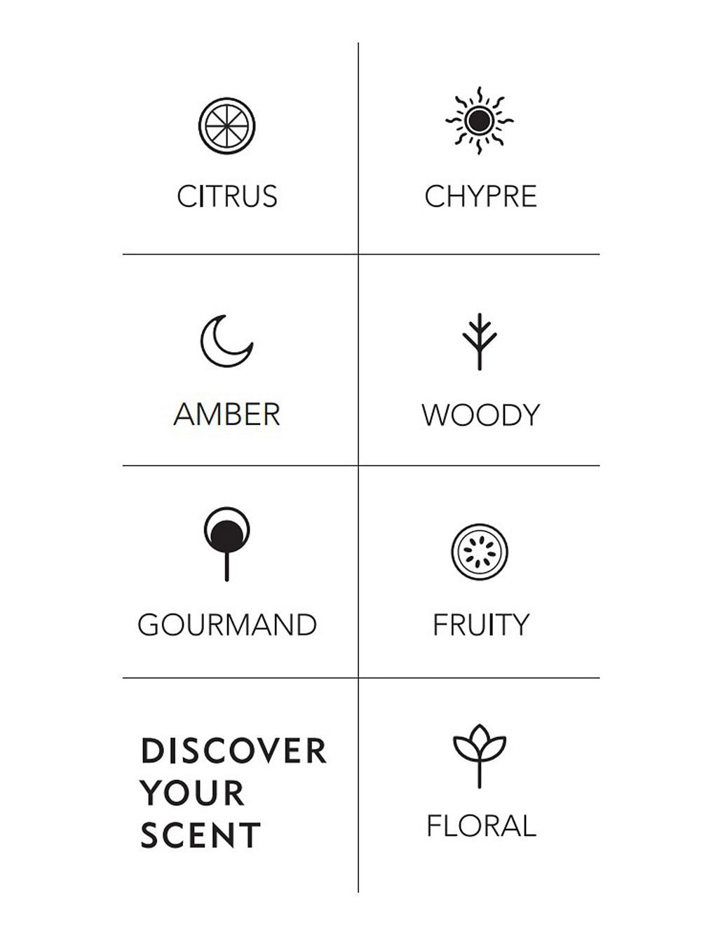 Discover Intense Discovery Set