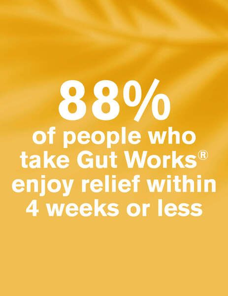 DR.VEGAN Gut Works&amp;reg; | 30 Day Supply | 1 Capsule Per Day