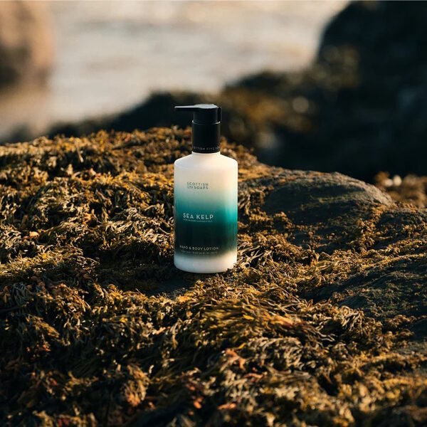 Scottish Fine Soaps Sea Kelp Hand and Body Lotion 300ml (British brand)