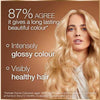 Garnier Permanent Hair Dye Truffle Soft Black 2.0, UK version