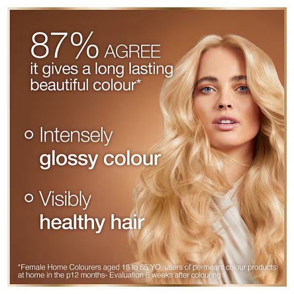 Garnier Permanent Hair Dye Truffle Soft Black 2.0, UK version