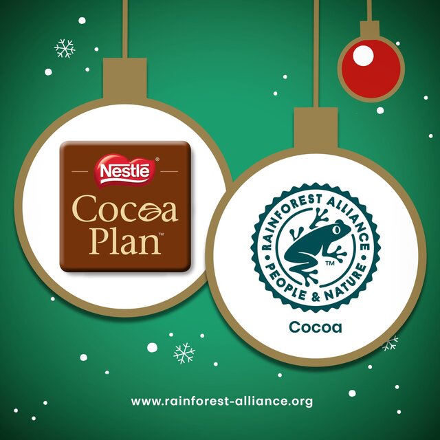 After Eight Mint Chocolate Thins Box   300g - McGrocer