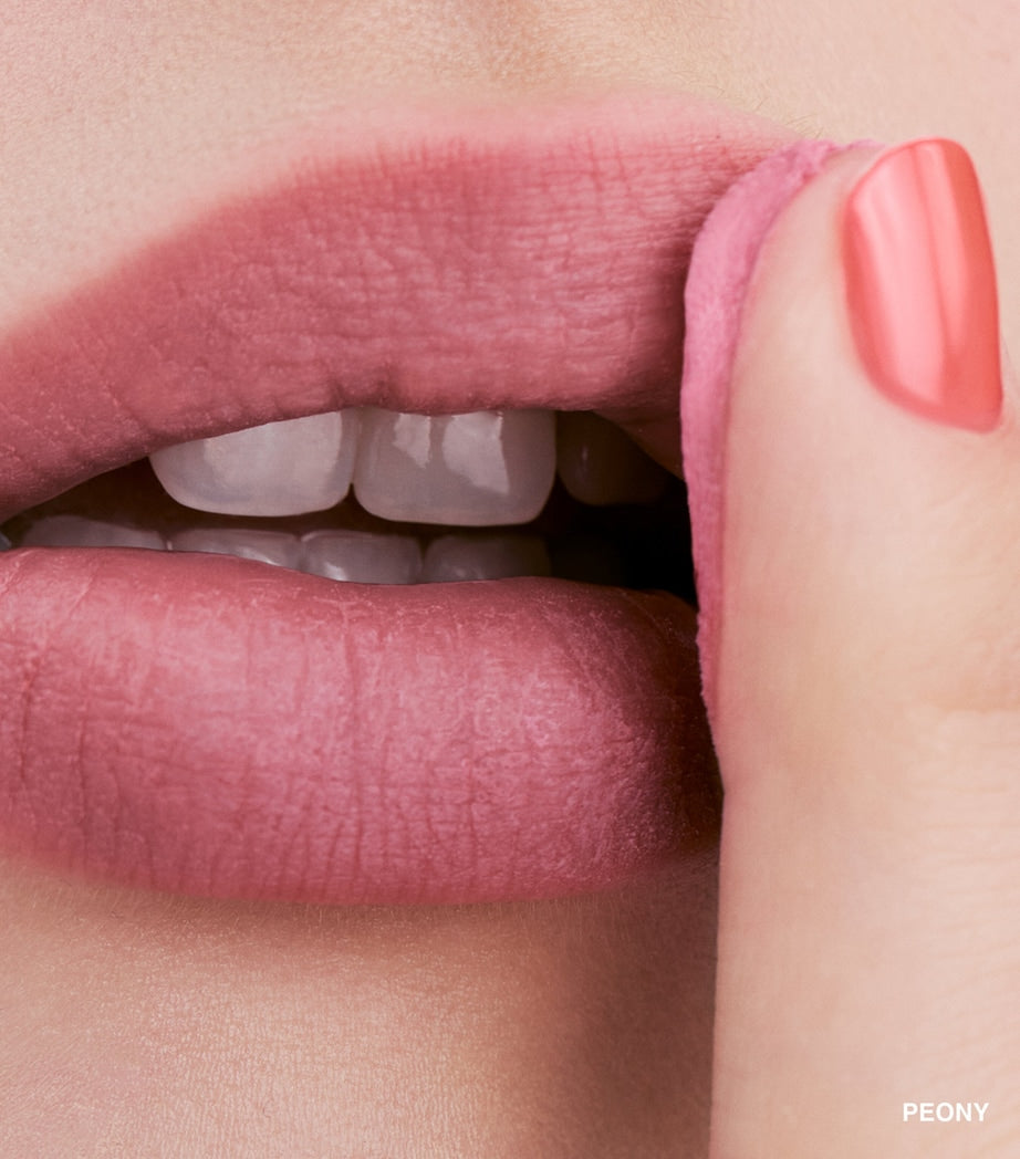 Bobbi Brown Pot Rouge