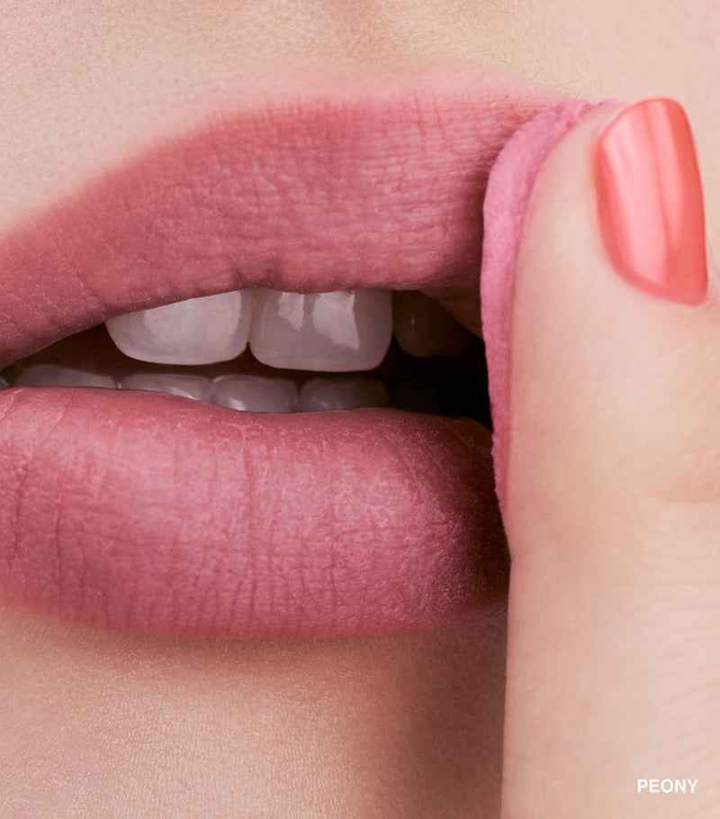 Bobbi Brown Pot Rouge