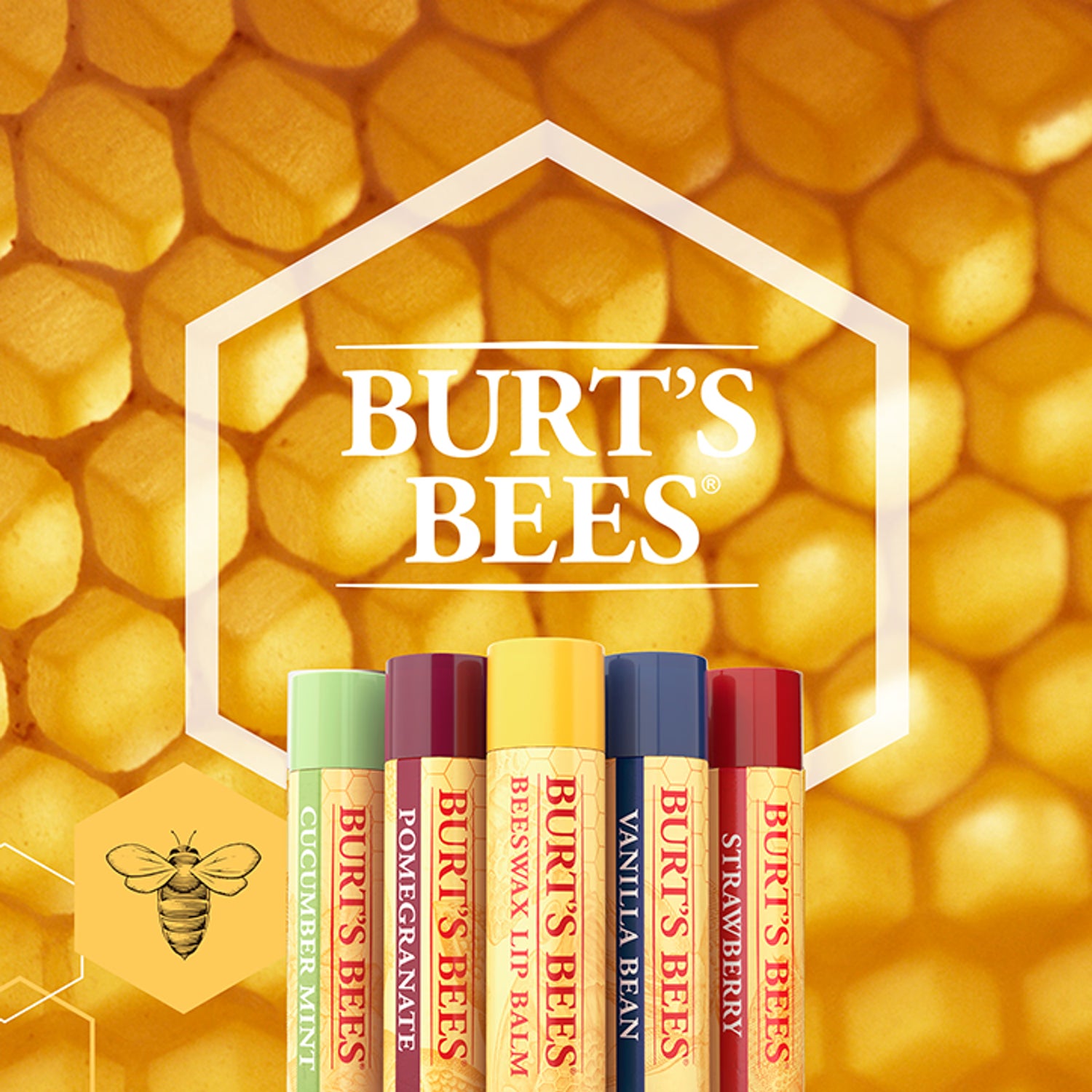 Burt's Bees Lip Balm Honey 4.25g