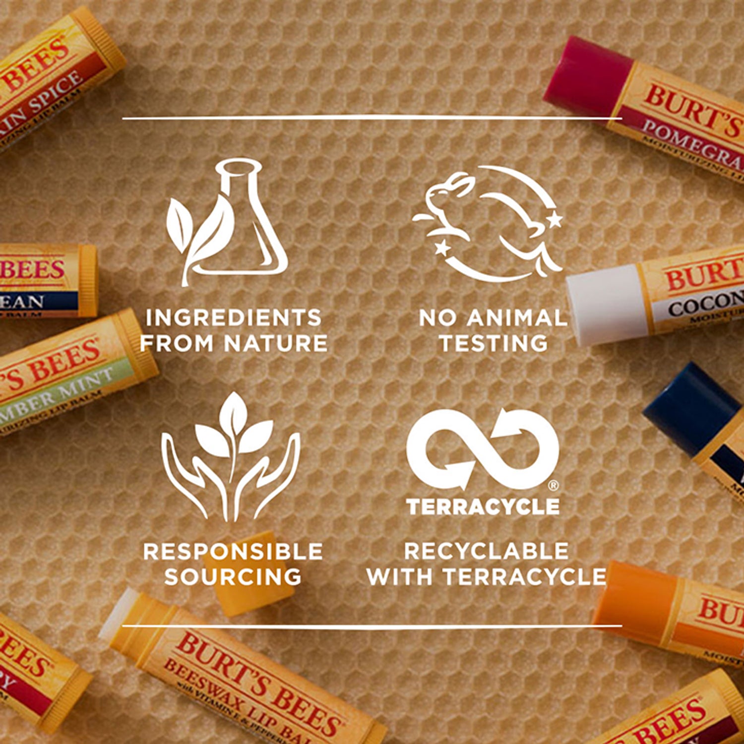 Burt's Bees Lip Balm Honey 4.25g