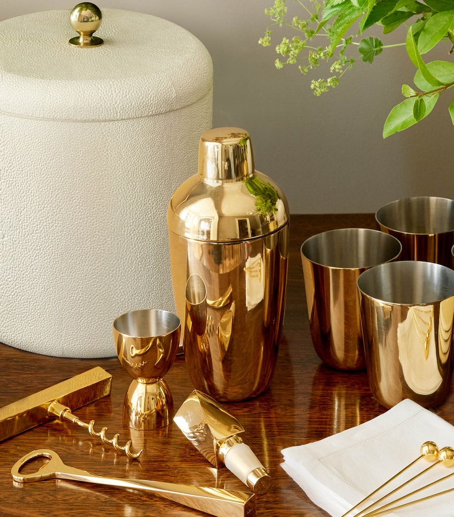 Aerin Stainless Steel Fausto Shaker Set