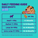 Edgard &amp;amp; Cooper Fresh Dog Treats Biscuits Salmon &amp;amp; Chicken   400g