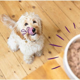 Edgard &amp;amp; Cooper Natural Adult Grain Free Wet Dog Food Multipack   6 x 100g