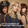 L'Oreal Paris Preference Hair Dye 8.1 Copenhagen, UK version