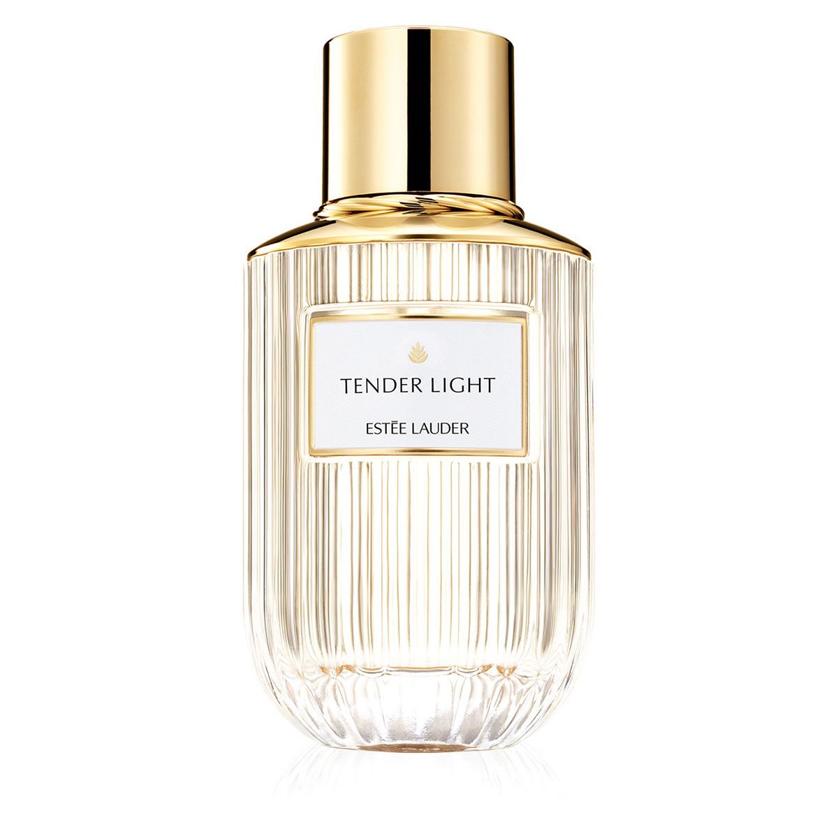 Est&amp;eacute;e Lauder Tender Light Eau de Parfum Spray 100ml