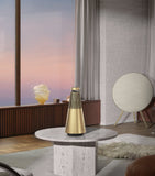 Bang & Olufsen 3rd generation speaker - British product