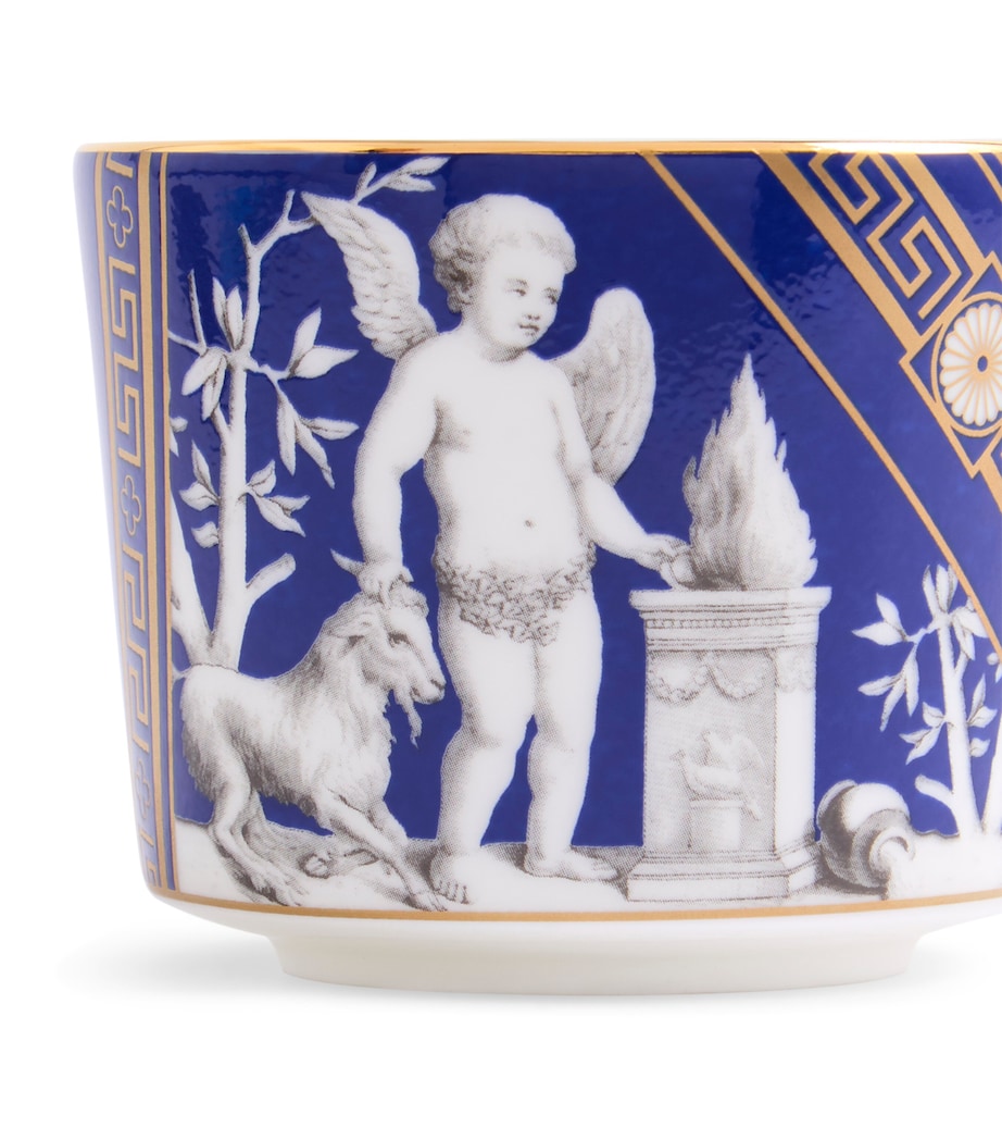 Wedgwood Renaissance teacup and saucer 250ml (British brand)