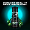 Lynx Fine Fragrance Aqua Bergamot Deodorant Spray 150ml, UK version
