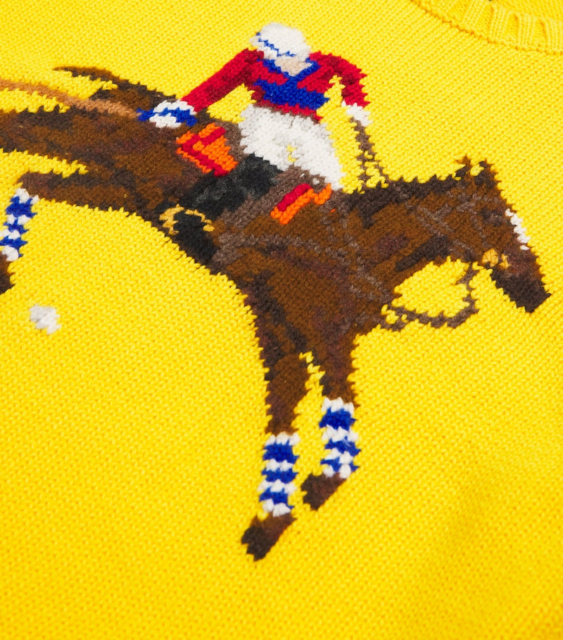 Ralph Lauren kids cotton polo sweater for ages 7-14 years, imported from the UK
