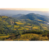 Faldeo Prosecco   75cl