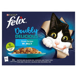 Felix Doubly Delicious Ocean Recipes Wet Cat Food    12 x 100g