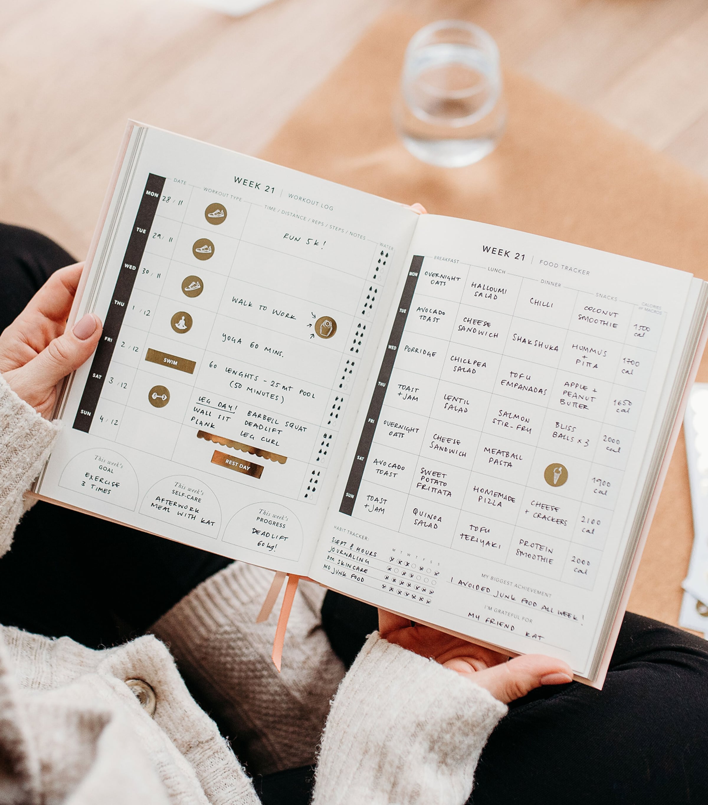 Blush and Gold Daily Fitness & Meal Planner